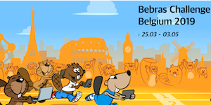 Bebras Challenge 2019